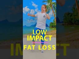 Burn BELLY FAT at Home with This 30 Minute LOW INTENSITY WORKOUT  #walkingforweightloss #walkathome