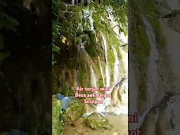 Air terjun cantik di pinggir jalan,desa Aek bargot,sosopan #shortvideo #panorama #fyp #freefire