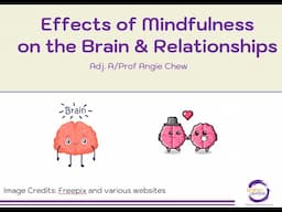 Effects of Mindfulness on the Brain and Relationships