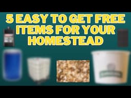 5 USEFUL and EASY to Get FREE Items to Use on Your Homestead!