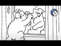 Sunny Spot | Full Episode | Simon's Cat Extra