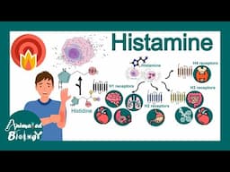 Histamine and histamine antagonists | How antihistamines work? | USMLE step 1