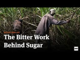 The Bitter Work Behind Sugar [Reveal podcast]