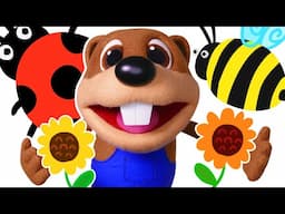 Honey Bee + More | Kids Songs Teach ABC Song, Colors Rhymes, Counting Numbers by Busy Beavers