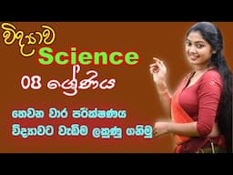 8 වසර විද්‍යාව - තෙවන වාර පරීක්ෂණය | Grade 8 Science 3rd term test|science term test paper