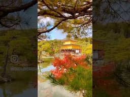 Golden Temple in Kyoto, Japan at Kinkaku-ji Temple