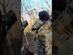 4 kill shots in 14 seconds #bowhuntingwhitetails #bowhunt #hunting #deerhunting #shorts