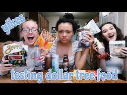 testing dollar tree food