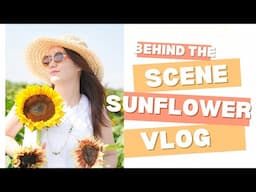 Sunflower Behind The Scene 2024