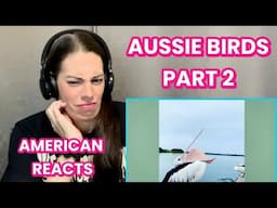 AUSTRALIA’S MOST COMMON BIRDS PART 2 | AMERICAN REACTS