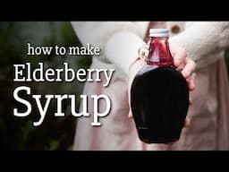 How to Make Elderberry Syrup (Immune Tonic)