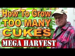 Grow Cucumbers INDOORS FOR MAXIMUM YIELD.  Greenhouse Mega Harvest.