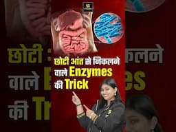 छोटी आंत से निकलने वाले Enzymes की Trick  #smallintestine #enzymes #shorts #trick