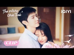 💗CLIP:  Li Zan and Song Ran Neck-nuzzling kiss  👄💑EP21&22 | The White Olive Tree | iQIYI Romance