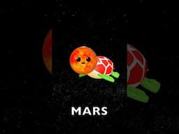 TURTLE PLANET 🐢🪐🌎🔭🐢 | Mercury Venus Earth Mars Jupiter Saturn Uranus Neptune #atoyday