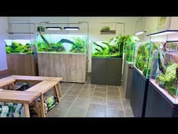 Aquascaping Showroom Tour, Updates and a New 150cm Aquascape!