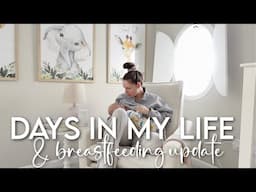 days in my life as a new mom: my breastfeeding journey, big night out, making nourish bowls + MORE!