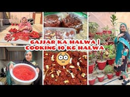 GAJJAR KA HALWA | COOKING 10 KG HALWA😮😳