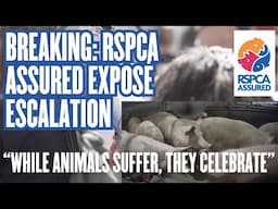 WHILE ANIMALS SUFFER, THEY CELEBRATE | Join us to turn the RSPCA's celebration into a wake-up call!