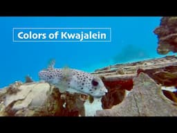 Colors of Kwajalein