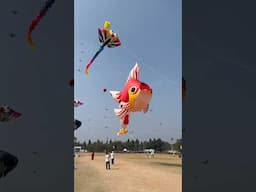 Kites festival parade ground || Hyderabad #shorts #kites festival #anilkumar vt #travel