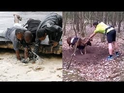 TOP Animal Rescues, Emotional/Inspiring/Funny Will Melt Your Heart Compilation.  REAL LIFE HEROES