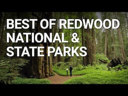 Top Things You NEED To Do In Redwood National Park, California