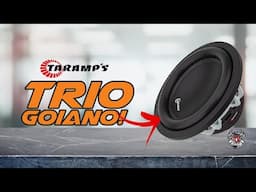 Alto Falante Subwoofer TARAMPS T1600SW 800 rms 12 pol!