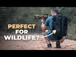 A Wildlife Camera Bag So Close to Perfect... (Gura Gear Kiboko 2.0 30L+)