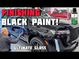 FINICKY! How I Polish Finicky Black Paint | DIY Gold Standard Polish System| Labocosmetica HPC