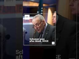 Schumer Goes After Musk, DOGE