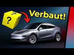 DAS kommt in zukünftige TESLA Fahrzeuge rein! (Q4 Earnings Call)