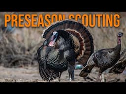 Find Your Opening Day Turkey