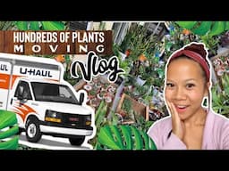 Moving House Plants 🌿 Vlog 002 | UPDATE | A girl with a garden