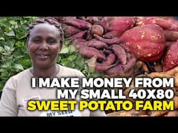 Sweet Potato Farming: A Guide to Sweet Potato Farming on a Small Farm