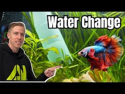 How to Do Water Change on a Betta Tank - REACTION