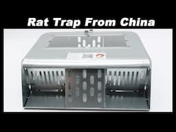 A New Rat Trap From China - Will It Work?    Mousetrap Monday