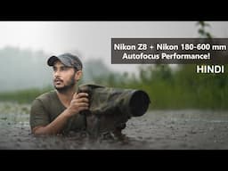 Nikon Z8 Autofocus test with Nikon 180-600 mm Lens | Nikon Z8 Bird Eye AF Review , Nikon Z9 , Z6 II