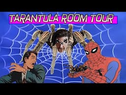 TARANTULA ROOM TOUR!