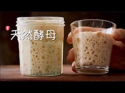 天然酵母 Sourdough Starter