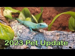 2023 Pet Updates!