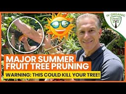 Summer Pruning Fruit Tree Tips A-to-Z | DEMO with AFTER RESULTS!