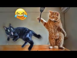 You Laugh You Lose😹🐶Funniest Dogs and Cats 2024🤣