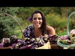 Eggplant Extravaganza: Julie Taboulie's Lebanese Kitchen ~ Public TV Series Episode 104