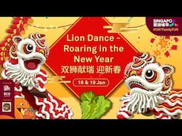 Lion Dance - Roaring in the New Year  双狮献瑞 迎新春