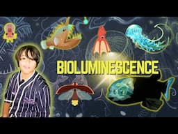 Animal Bioluminescence: Nature's Glowing Wonders