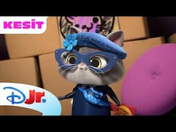 🎀 Güzellik Salonu | Süper Kediler | Disney Kids Türkiye