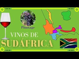 VINOS de SUDÁFRICA 🍷[Factores climáticos, uvas y regiones vinícolas]