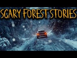 Scary Forest Stories For A Horrific, Terrifying, And Sleepless Night