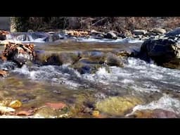 Babbling Mountain Brook | Sweet Flowing Water Sounds For Relaxation, Study, Or Sleep